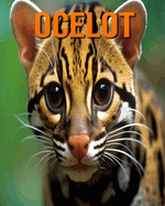 Ocelot: Fun and Fascinating Facts and Pictures About Ocelot