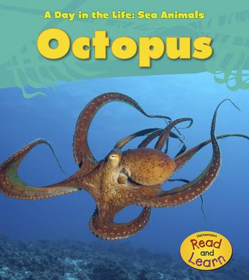 Octopus - Spilsbury, Louise