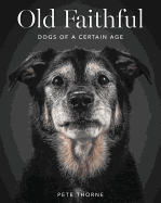 Old Faithful: Dogs of a Certain Age