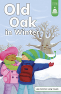 Old Oak in Winter