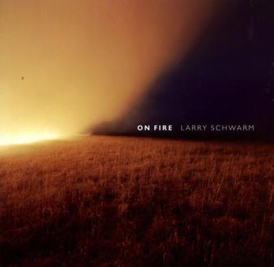 On Fire - Schwarm, Larry W