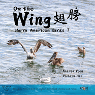 On the Wing    - North American Birds 7: Bilingual Picture Book in English, Simplified Chinese and Pinyin