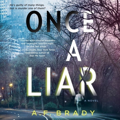 Once a Liar - Verner, Adam (Read by), and Brady, A F