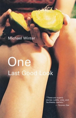 One Last Good Look - Winter, Michael