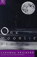 One Moonlit Night: Novel