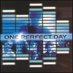 One Perfect Day