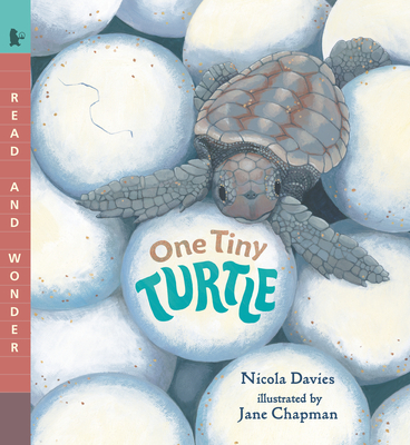 One Tiny Turtle: Read and Wonder - Davies, Nicola