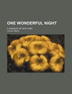 One Wonderful Night: A Romance of New York