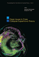 Open Issues in Core Collapse Supernova Theory