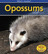 Opossums