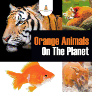 Orange Animals on the Planet