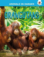Orangutans: Animals In Danger