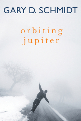 Orbiting Jupiter - Schmidt, Gary D, Professor