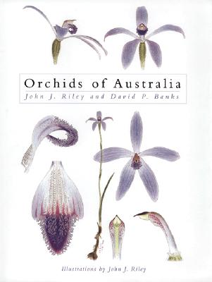 Orchids of Australia - Riley, John J