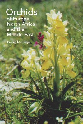 Orchids of Europe, North Africa and the Middle East - Delforge, Pierre