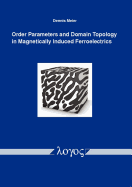 Order Parameters and Domain Topology in Magnetically Induced Ferroelectrics