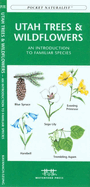 Oregon Trees & Wildflowers: A Folding Pocket Guide to Familiar Species