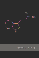 Organic Chemistry: DMT Spirit Molecule science composition notebook - 1/4 inch Hexagonal Graph Paper Notebook for psychonauts