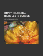 Ornithological Rambles in Sussex