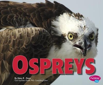 Ospreys - Saunders-Smith, Gail (Consultant editor), and Dunn, Mary R