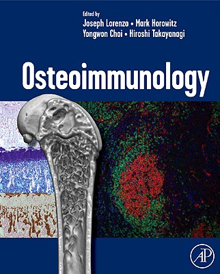 Osteoimmunology: Interactions of the Immune and Skeletal Systems - Lorenzo, Joseph (Editor), and Horowitz, Mark, M.D. (Editor), and Choi, Yongwon (Editor)