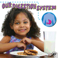 Our Digestion System