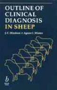 Outline of Clinical Diagnosis of Sheep