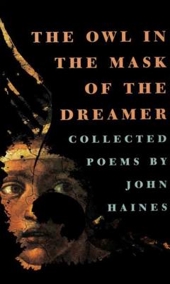 Owl in the Mask of the Dreamer - Haines, John