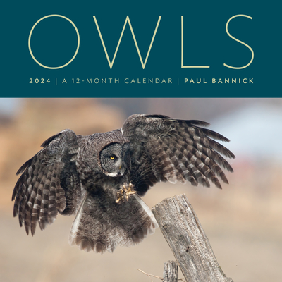 Owls 2024: a 12-Month Wall Calendar - Bannick, Paul