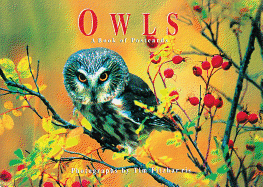 Owls: A Book of Postcards