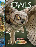 Owls