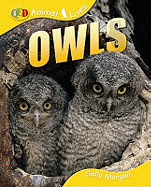 Owls