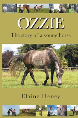 Ozzie: The Story of a Young Horse - Heney, Elaine
