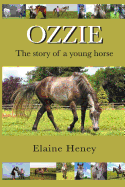 Ozzie - The Story of a Young Horse