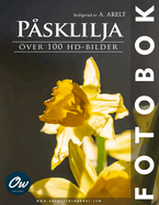 Psklilja: ver 100 HD-bilder