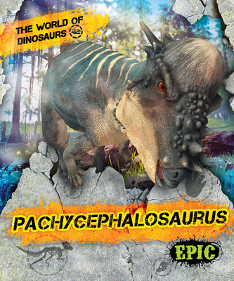 Pachycephalosaurus - Sabelko, Rebecca