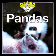 Pandas