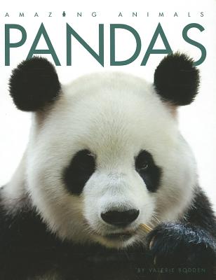 Pandas - Bodden, Valerie