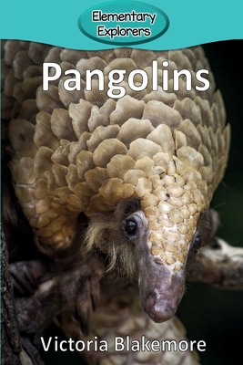 Pangolins - Blakemore, Victoria