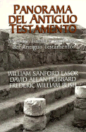 Panorama del Antiguo Testamento: Mensaje, Forma y Trasfondo del Antiguo Testamento