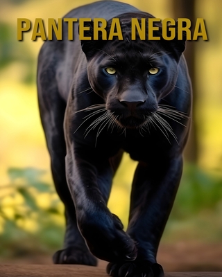 Pantera Negra: Curiosidades Interessantes e Imagens Sobre a Pantera Negra - Carrillo, Isabella