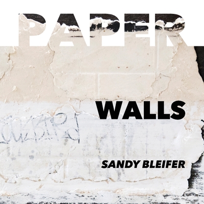 Paper: Walls: Vulnerability and Resilience of Urban Surfaces - Bleifer, Sandy, and Zeitman, Debbie (Designer)