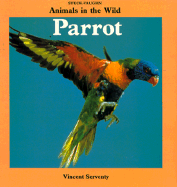 Parrot: Animals in the Wild