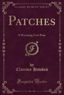 Patches: A Wyoming Cow Pony (Classic Reprint)