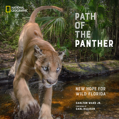Path of the Panther: New Hope for Wild Florida - Ward, Carlton, and Hiaasen, Carl (Foreword by)