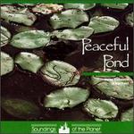 Peaceful Pond - Dean Evenson