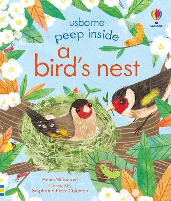 Peep Inside a Bird's Nest - Milbourne, Anna