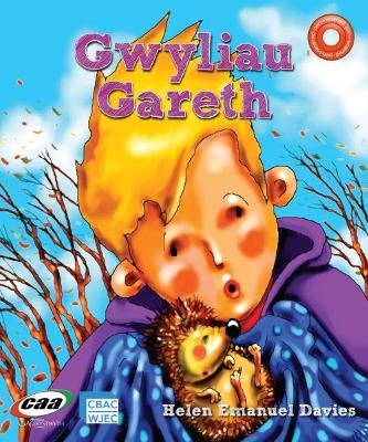 Pen-i-Waered: Anifeiliaid Anwes/Gwyliau Gareth - Davies, Helen Emanuel, and Pughe, Fflur (Editor), and Cooper, Anne Lloyd (Illustrator)