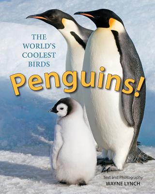 Penguins!: The World's Coolest Birds - Lynch, Wayne, Dr.