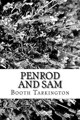 Penrod and Sam - Tarkington, Booth